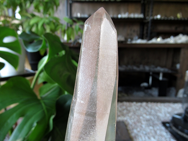 ゴイアス州 レムリアンシードクリスタル 水晶 原石 ポリッシュ