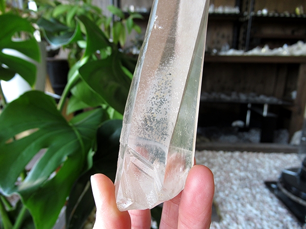 ゴイアス州 レムリアンシードクリスタル 水晶 原石 ポリッシュ