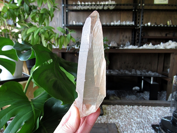 ゴイアス州 レムリアンシードクリスタル 水晶 原石 ポリッシュ