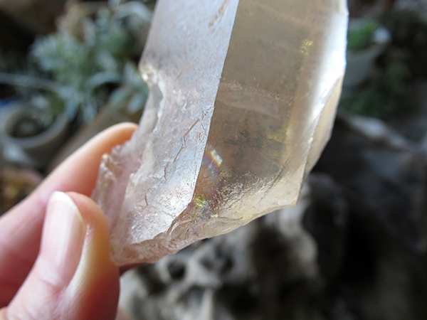 ゴイアス州 レムリアンシードクリスタル 水晶 原石 ポリッシュ