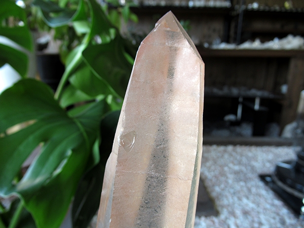 ゴイアス州 レムリアンシードクリスタル 水晶 原石 ポリッシュ