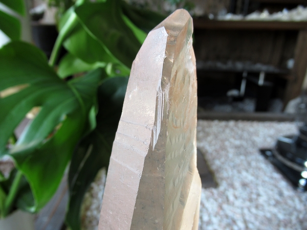 ゴイアス州 レムリアンシードクリスタル 水晶 原石 ポリッシュ