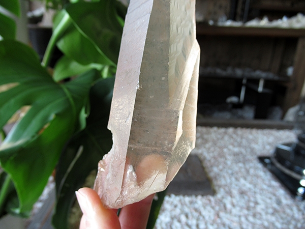 ゴイアス州 レムリアンシードクリスタル 水晶 原石 ポリッシュ