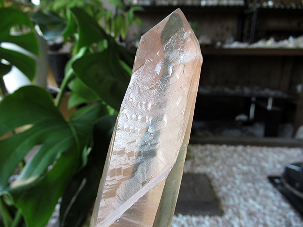 ゴイアス州 レムリアンシードクリスタル 水晶 原石 ポリッシュ