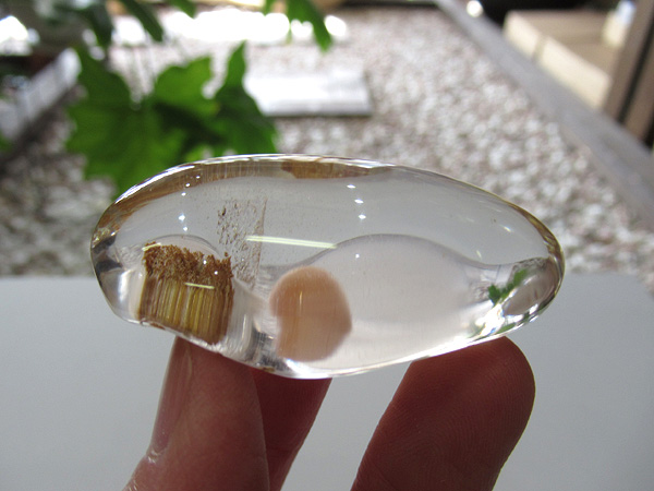 ブラジル産 高品質 ガーデン クォーツ 原石ポリッシュ 水晶