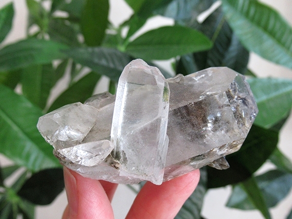 ガーデンクォーツ 原石 水晶 クラスター コリント ミナスジェライス州 ブラジル産