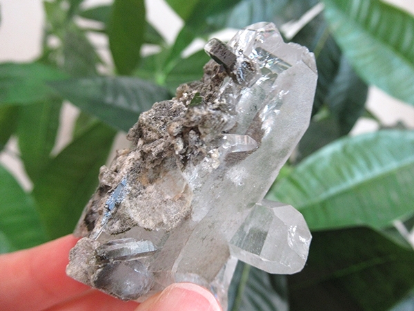 ガーデンクォーツ 水晶 原石 クラスター | 天然石専門店【鬮石】