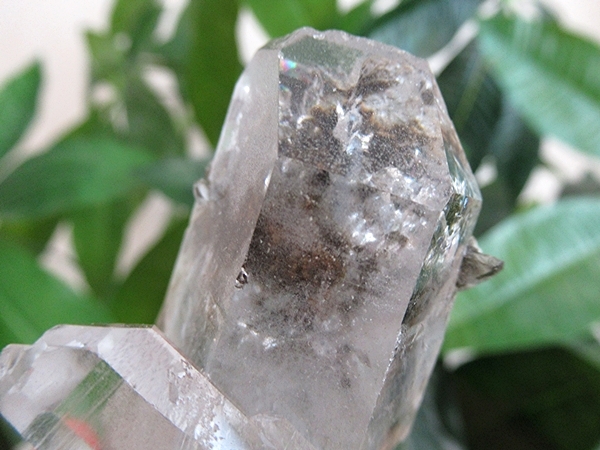 鑑賞石　クラスター　水晶　原石 ガーデンクォーツ 水晶 原石 クラスター | 天然石専門店【鬮石】