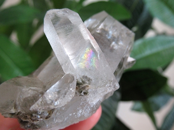水晶　クラスター　鑑賞石　原石 ガーデンクォーツ 水晶 原石 クラスター | 天然石専門店【鬮石】