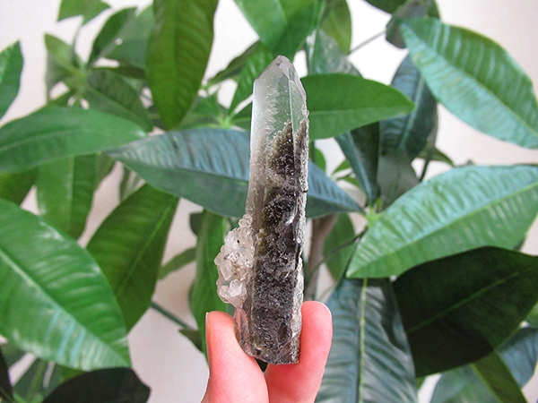 ガーデンクォーツ 原石 水晶 クラスター コリント ミナスジェライス州 ブラジル産