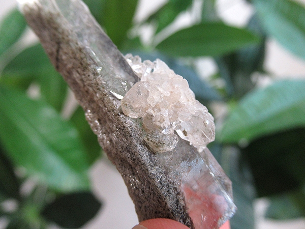 ガーデンクォーツ 原石 水晶 クラスター コリント ミナスジェライス州 ブラジル産