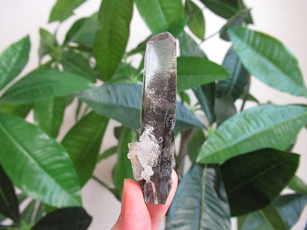 ガーデンクォーツ 原石 水晶 クラスター コリント ミナスジェライス州 ブラジル産