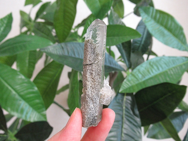 ガーデンクォーツ 原石 水晶 クラスター コリント ミナスジェライス州 ブラジル産