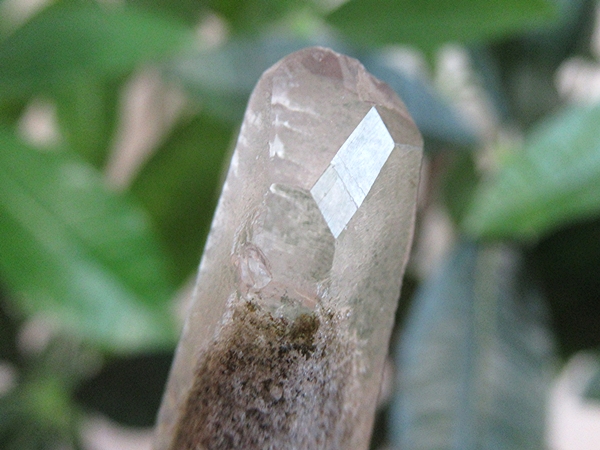 ガーデンクォーツ 原石 水晶 クラスター コリント ミナスジェライス州 ブラジル産