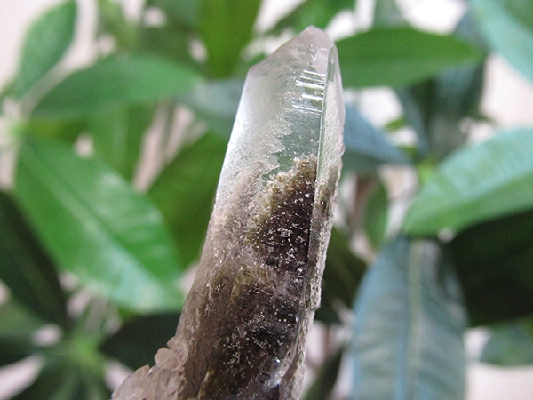 ガーデンクォーツ 原石 水晶 クラスター コリント ミナスジェライス州 ブラジル産