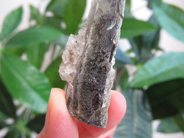 ガーデンクォーツ 原石 水晶 クラスター コリント ミナスジェライス州 ブラジル産