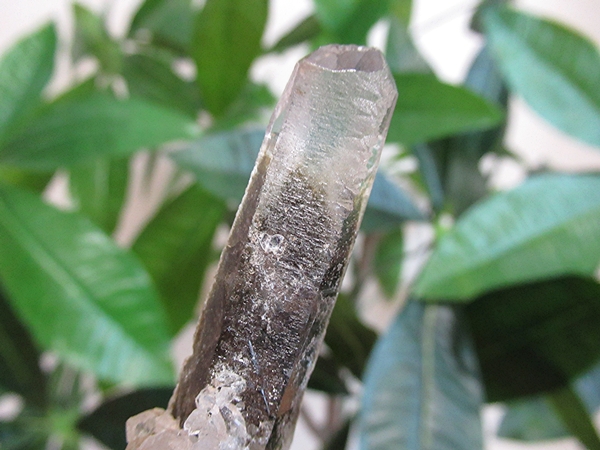 ガーデンクォーツ 原石 水晶 クラスター コリント ミナスジェライス州 ブラジル産