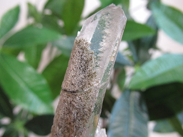 ガーデンクォーツ 原石 水晶 クラスター コリント ミナスジェライス州 ブラジル産