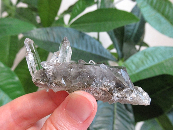 ガーデンクォーツ 原石 水晶 クラスター コリント ミナスジェライス州 ブラジル産