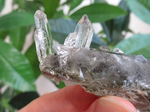 ガーデンクォーツ 原石 水晶 クラスター コリント ミナスジェライス州 ブラジル産