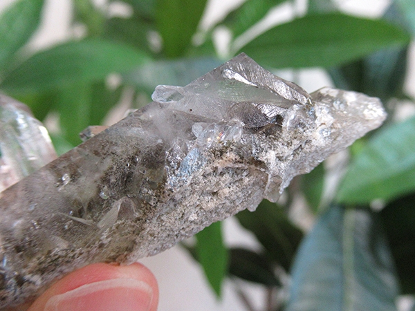 ガーデンクォーツ 原石 水晶 クラスター コリント ミナスジェライス州 ブラジル産