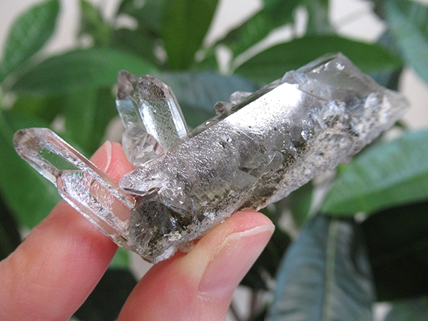 ガーデンクォーツ 原石 水晶 クラスター コリント ミナスジェライス州 ブラジル産