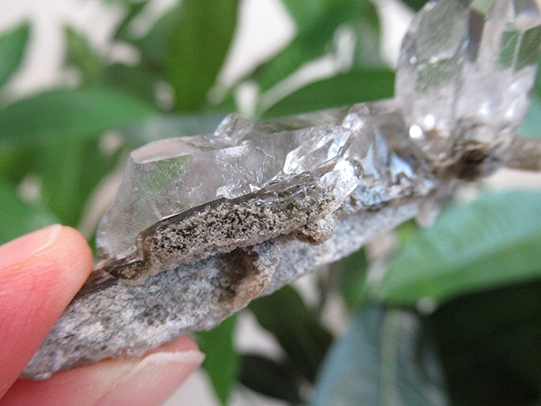 ガーデンクォーツ 原石 水晶 クラスター コリント ミナスジェライス州 ブラジル産