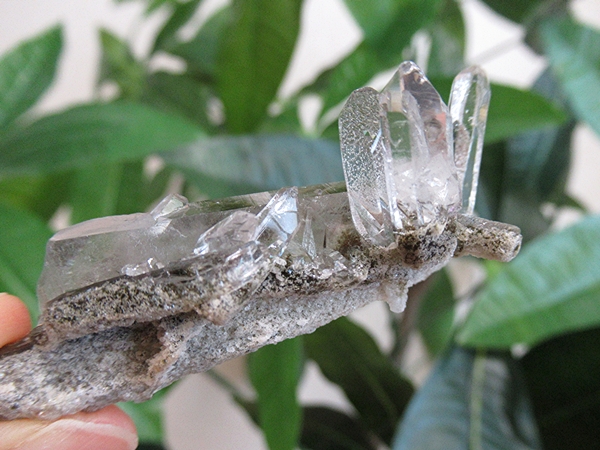 ガーデンクォーツ 原石 水晶 クラスター コリント ミナスジェライス州 ブラジル産