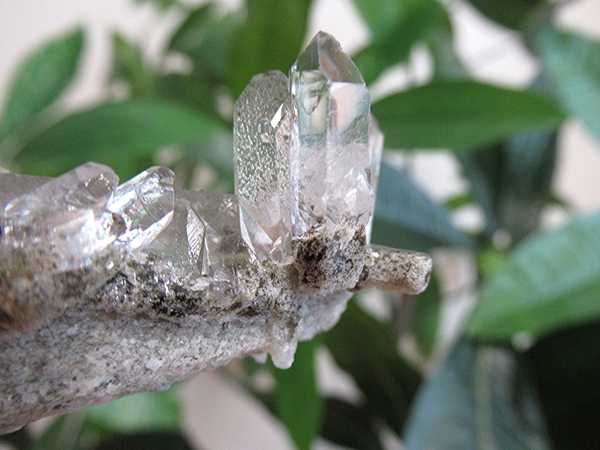 ガーデンクォーツ 原石 水晶 クラスター コリント ミナスジェライス州 ブラジル産