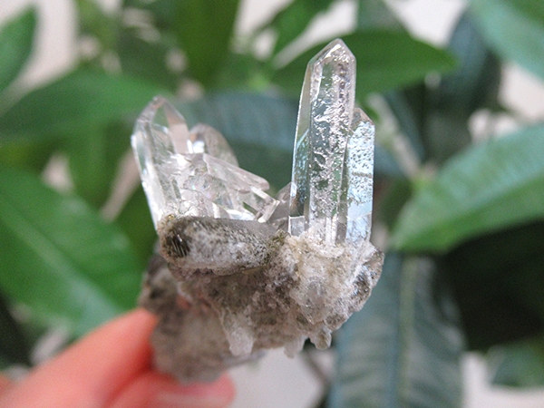 ガーデンクォーツ 原石 水晶 クラスター コリント ミナスジェライス州 ブラジル産