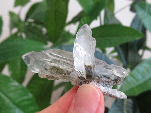 ガーデンクォーツ 原石 水晶 クラスター コリント ミナスジェライス州 ブラジル産