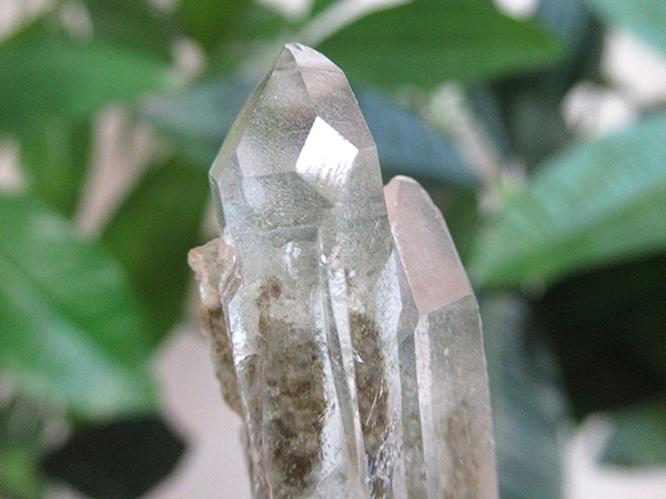 ガーデンクォーツ 原石 水晶 クラスター コリント ミナスジェライス州 ブラジル産