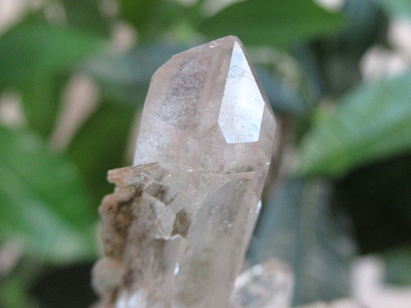 ガーデンクォーツ 原石 水晶 クラスター コリント ミナスジェライス州 ブラジル産