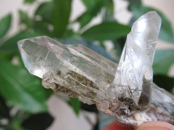 ガーデンクォーツ 原石 水晶 クラスター コリント ミナスジェライス州 ブラジル産