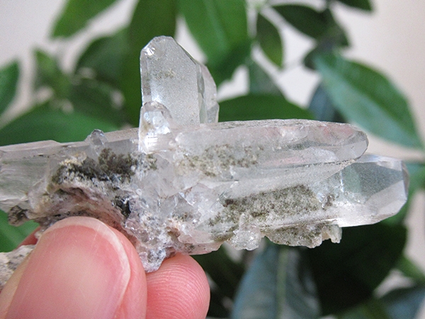 ガーデンクォーツ 原石 水晶 クラスター コリント ミナスジェライス州 ブラジル産