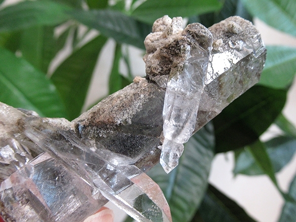ガーデンクォーツ 水晶 原石 クラスター | 天然石専門店【鬮石】