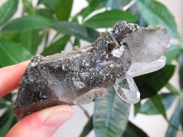 ガーデンクォーツ 水晶 原石 クラスター | 天然石専門店【鬮石】