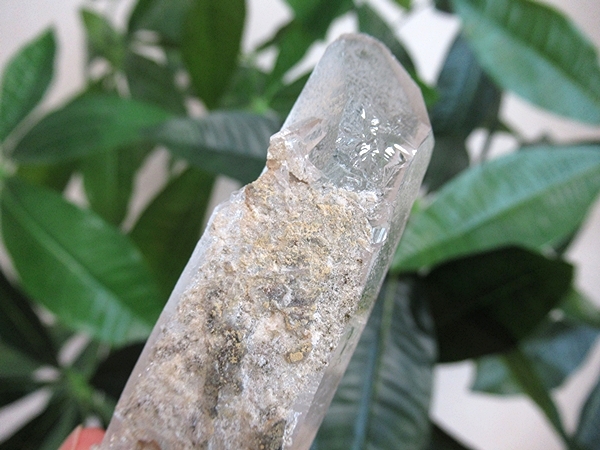 天然石　レア　綺麗　グリーン　ガーデンクォーツ　水晶クラスター ガーデンクォーツ 水晶 原石 クラスター | 天然石専門店【鬮石】