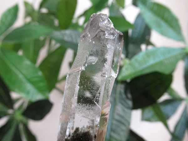 ガーデンクォーツ 原石 水晶 クラスター コリント ミナスジェライス州 ブラジル産