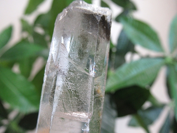 ガーデンクォーツ 原石 水晶 クラスター コリント ミナスジェライス州 ブラジル産