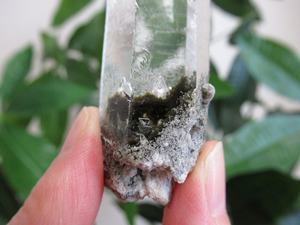 ガーデンクォーツ 原石 水晶 クラスター コリント ミナスジェライス州 ブラジル産