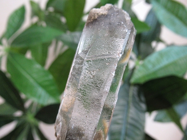 ガーデンクォーツ 原石 水晶 クラスター コリント ミナスジェライス州 ブラジル産