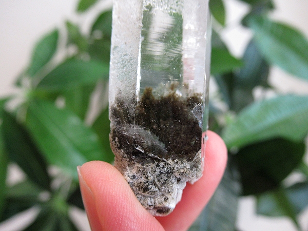 ガーデンクォーツ 原石 水晶 クラスター コリント ミナスジェライス州 ブラジル産