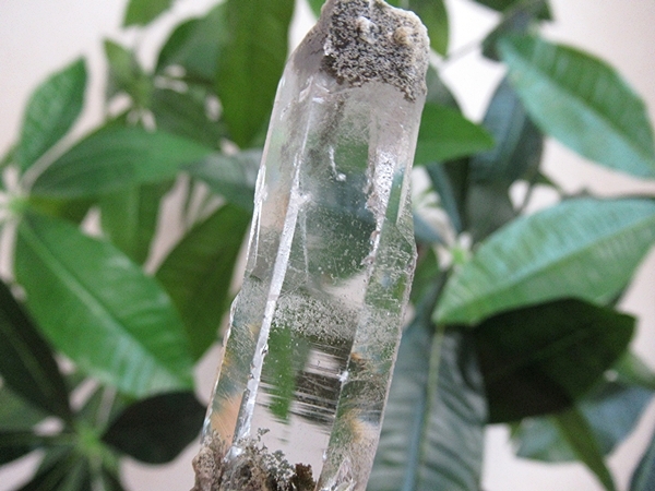 ガーデンクォーツ 原石 水晶 クラスター コリント ミナスジェライス州 ブラジル産