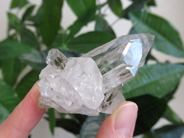 ガーデンクォーツ 原石 水晶 クラスター コリント ミナスジェライス州 ブラジル産