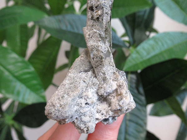 ガーデンクォーツ 原石 水晶 クラスター コリント ミナスジェライス州 ブラジル産