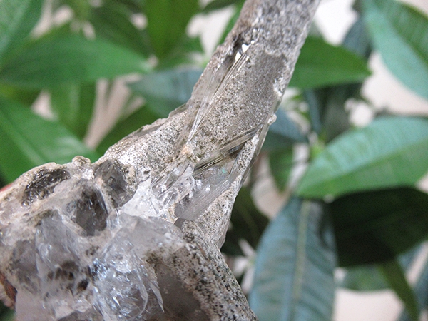 ガーデンクォーツ 原石 水晶 クラスター コリント ミナスジェライス州 ブラジル産