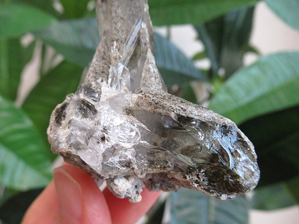 ガーデンクォーツ 原石 水晶 クラスター コリント ミナスジェライス州 ブラジル産