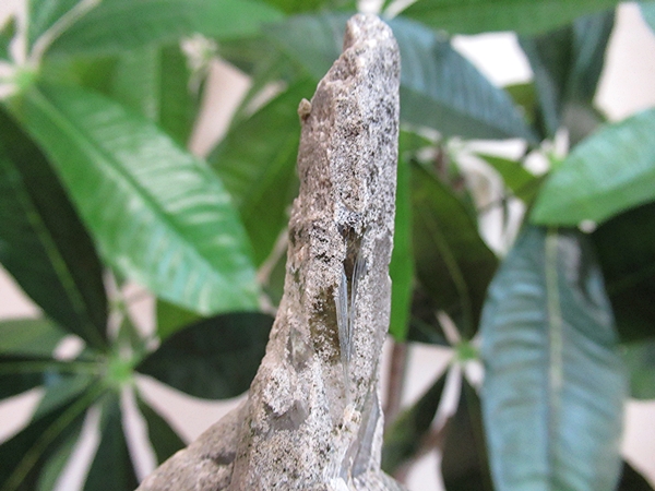 ガーデンクォーツ 原石 水晶 クラスター コリント ミナスジェライス州 ブラジル産