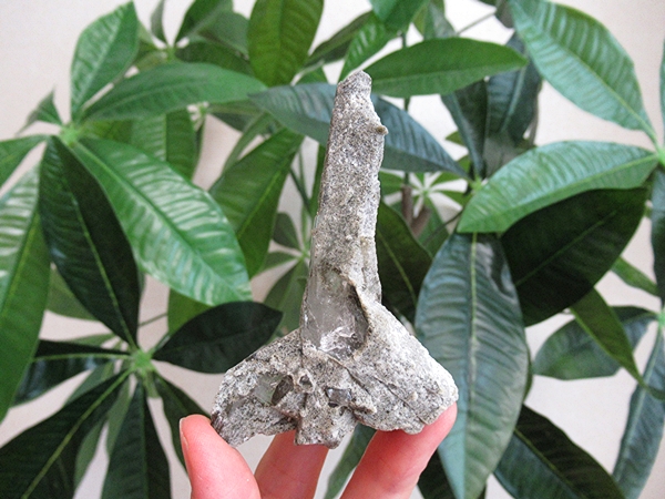 ガーデンクォーツ 原石 水晶 クラスター コリント ミナスジェライス州 ブラジル産